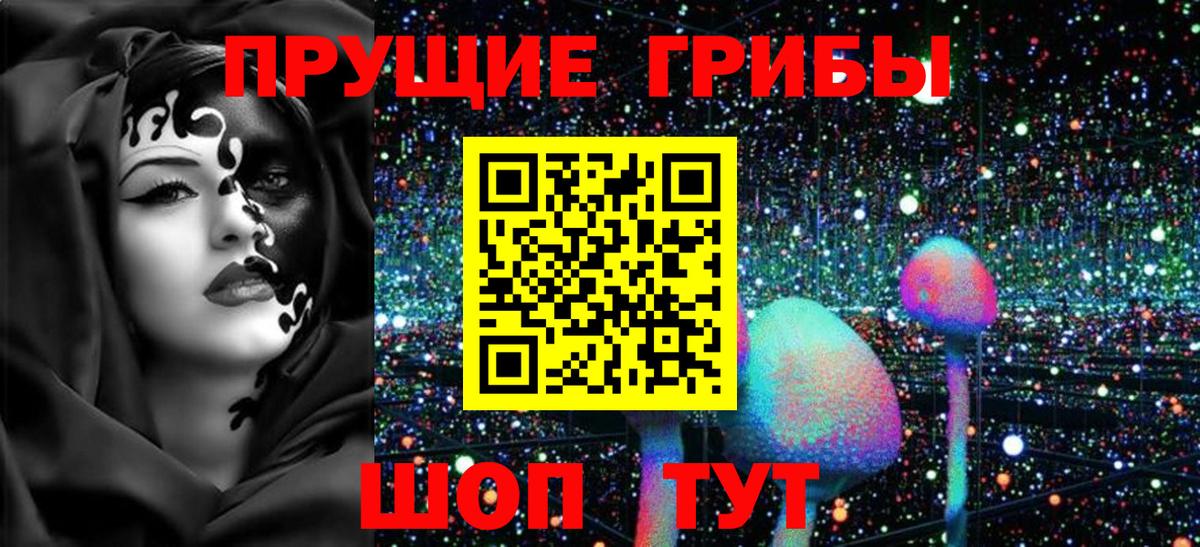 Псилоцибиновые грибы мицелий Отрадное