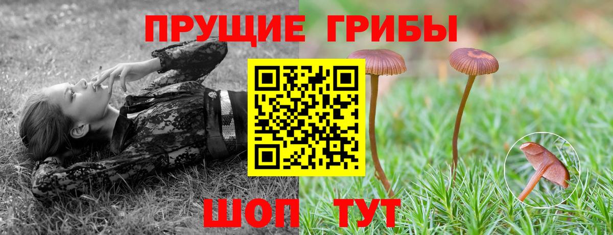 Отрадное  Галлюциногенные грибы GOLDEN TEACHER  цены наркотик  Вход с VPN  Галлюциногенные грибы Magic Shrooms 