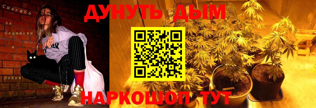 МАРИХУАНА LSD WEED  Каннабис семена  Отрадное  Вход с VPN 